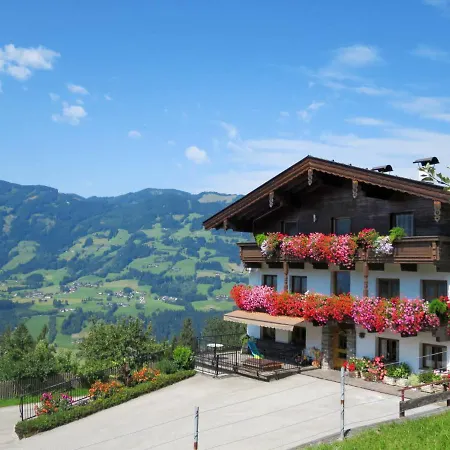 Bauernhaus Unterwiden Апартаменты